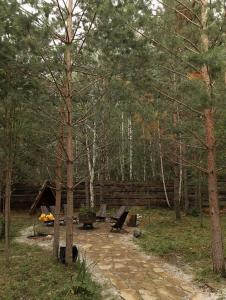 Aframe Forest Tale - 143