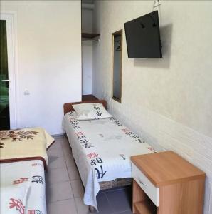 Агава - 27