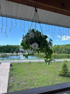 Живое село - 54