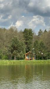 Живое село - 10