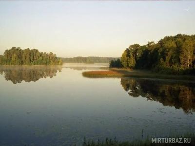 Межутоки - 11
