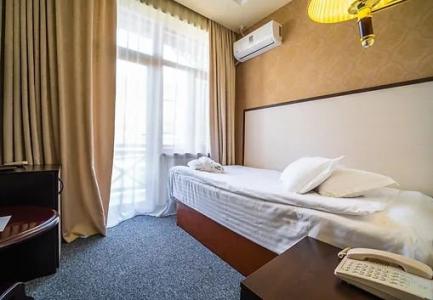 Borjomi Palace Health & Spa Center - 59
