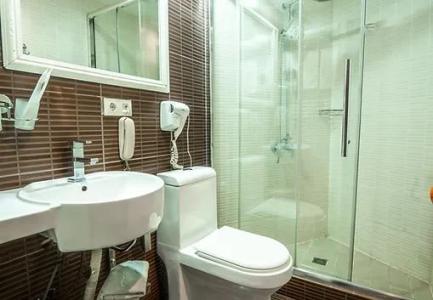 Borjomi Palace Health & Spa Center - 60