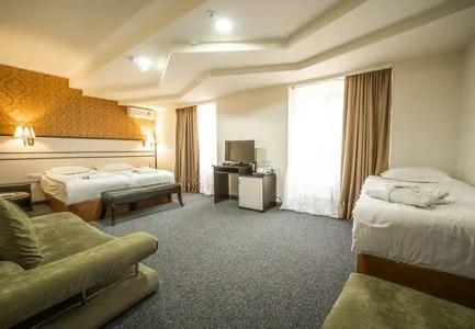 Borjomi Palace Health & Spa Center - 31