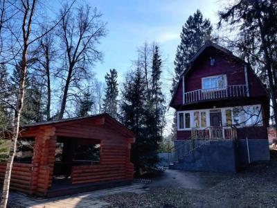 Царский лес - 552