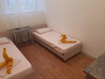 Домашний - 331