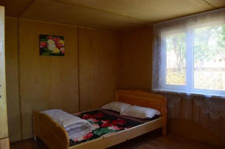 Фламинго - 55