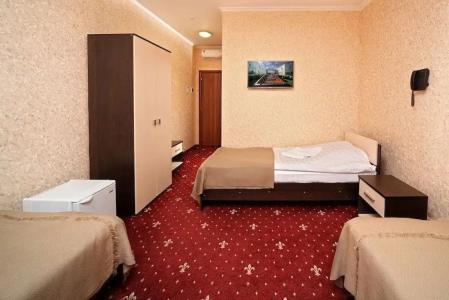 Парк-отель DeLore - 21