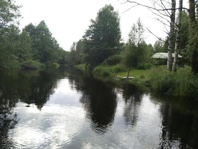 Сarp.house - 50