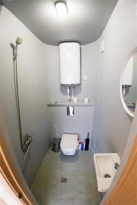 Клевер - 251