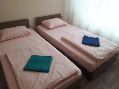 Домашний - 309