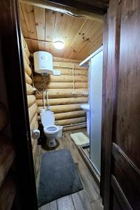 Деревенька Аракуль - 31