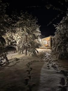 Дача в соснах - 75