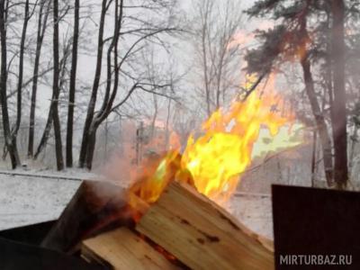 Сосновый бор - 4