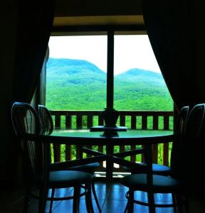 Лесной кордон - 141