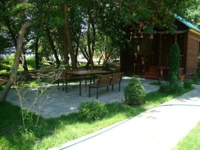 Дельта-Трофи - 37