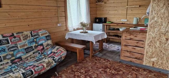 Стрекоза - 69