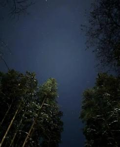 Бобры - 7