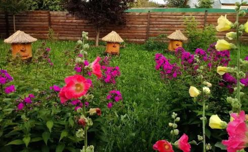 Дивный дворик - 33