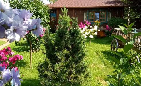Дивный дворик - 124