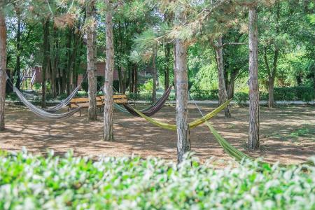 Солнечная Долина - 171