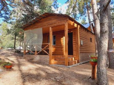 Ромашка - 141