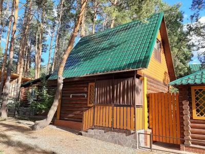 Ромашка - 180