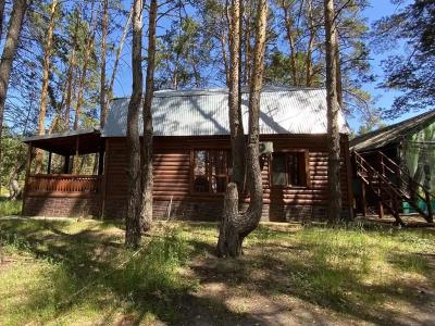 Ромашка - 262