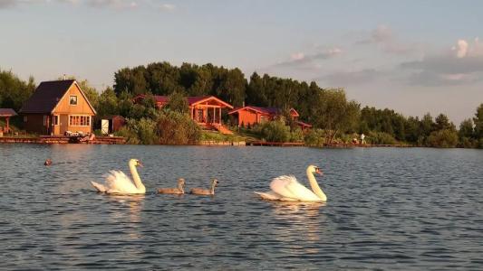 Алешкины пруды - 18