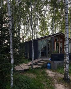 Клевер - 310