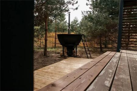 Хвоя - 41