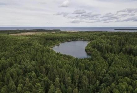 Малиновый берег - 70