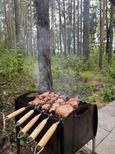 Шелангуш - 6