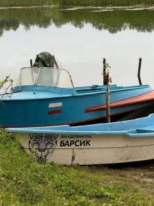 Шелангуш - 13