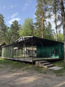 Шелангуш - 74