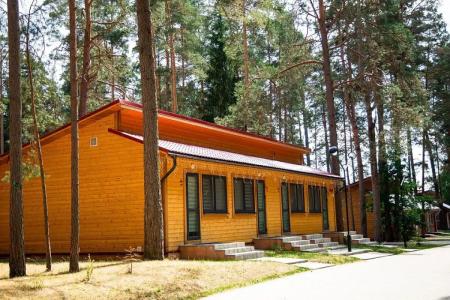 Лесные озера - 256