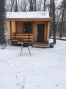 Дубки у Валентины - 31