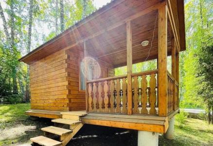 Стрелинка - 36