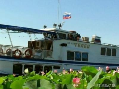 Телец - 3