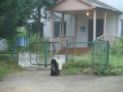 Санаторий Горноводное - 9