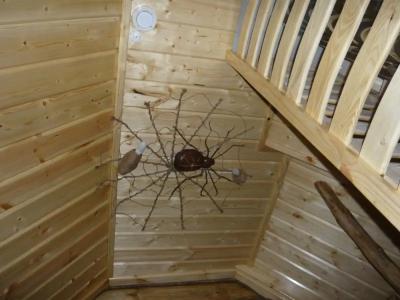 Бартынь - 120