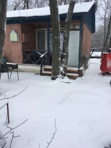 Дубки у Валентины - 29