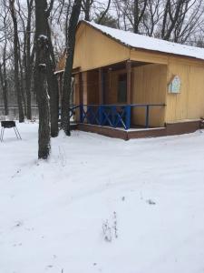 Дубки у Валентины - 31