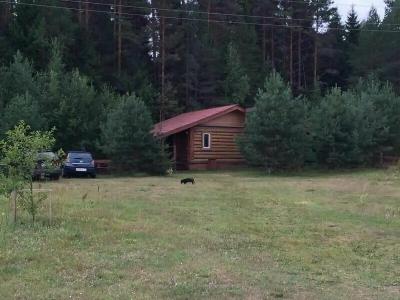 Боровое - 162