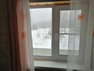 Борок - 4