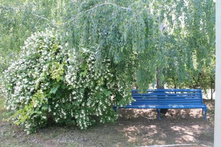 Пугачевский - 1