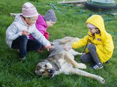 Другая жизнь - 7