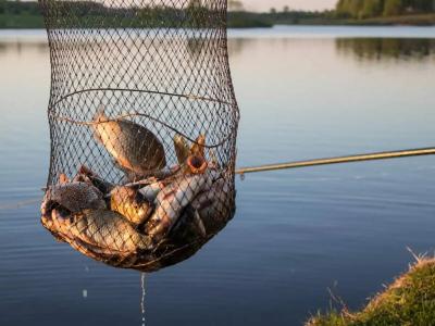 Другая жизнь - 14