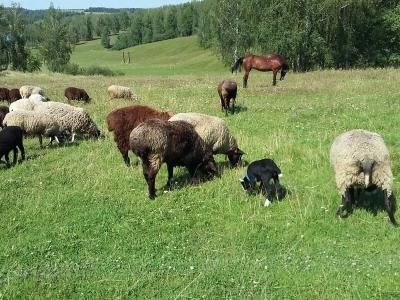 Другая жизнь - 4