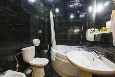 Родник - 208